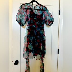 Darling Zara dress worn for a photo shoot one time